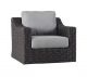 Roma Lounge Chair w/ Cushion