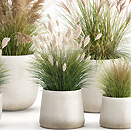 Planters